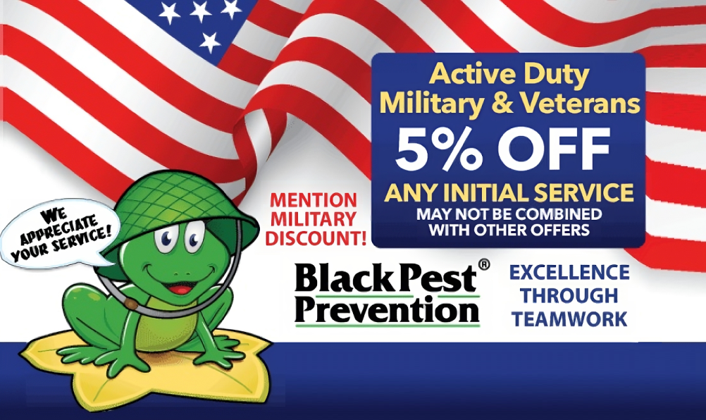 Pest Control Deals Black Pest Prevention Specials Charlotte Area