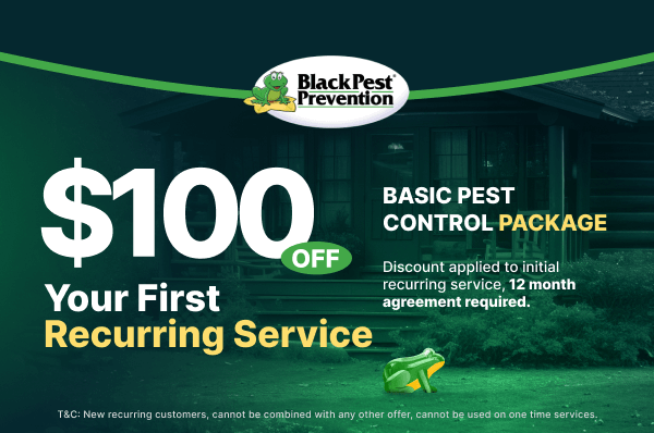 Coupon 1 2 1