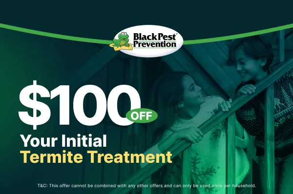 Coupon 2 2 1